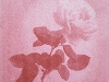 #1275-1008147